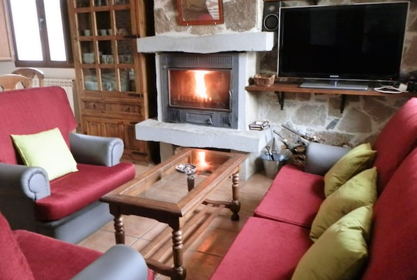 Smart TV, fireplace, books, stereo