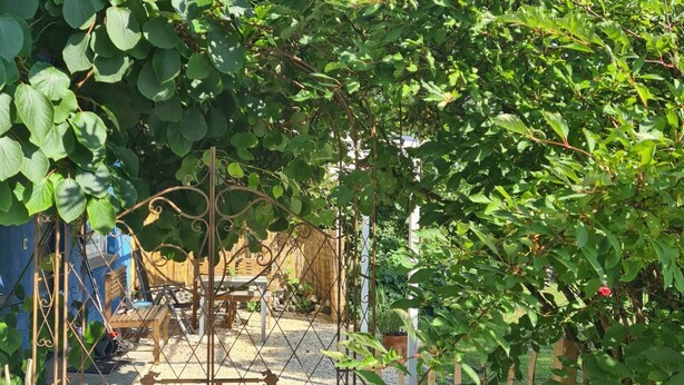 Een tuin met een metalen hek, grindpad en houten meubilair.