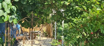 Children's and dog paradise with large fenced garden