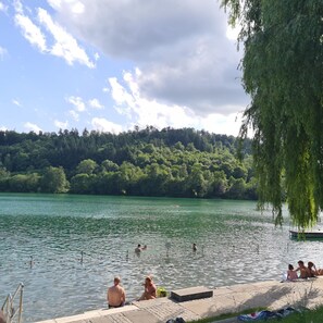 Beach - Children's and dog paradise with large fenced garden (Steißlingen)
