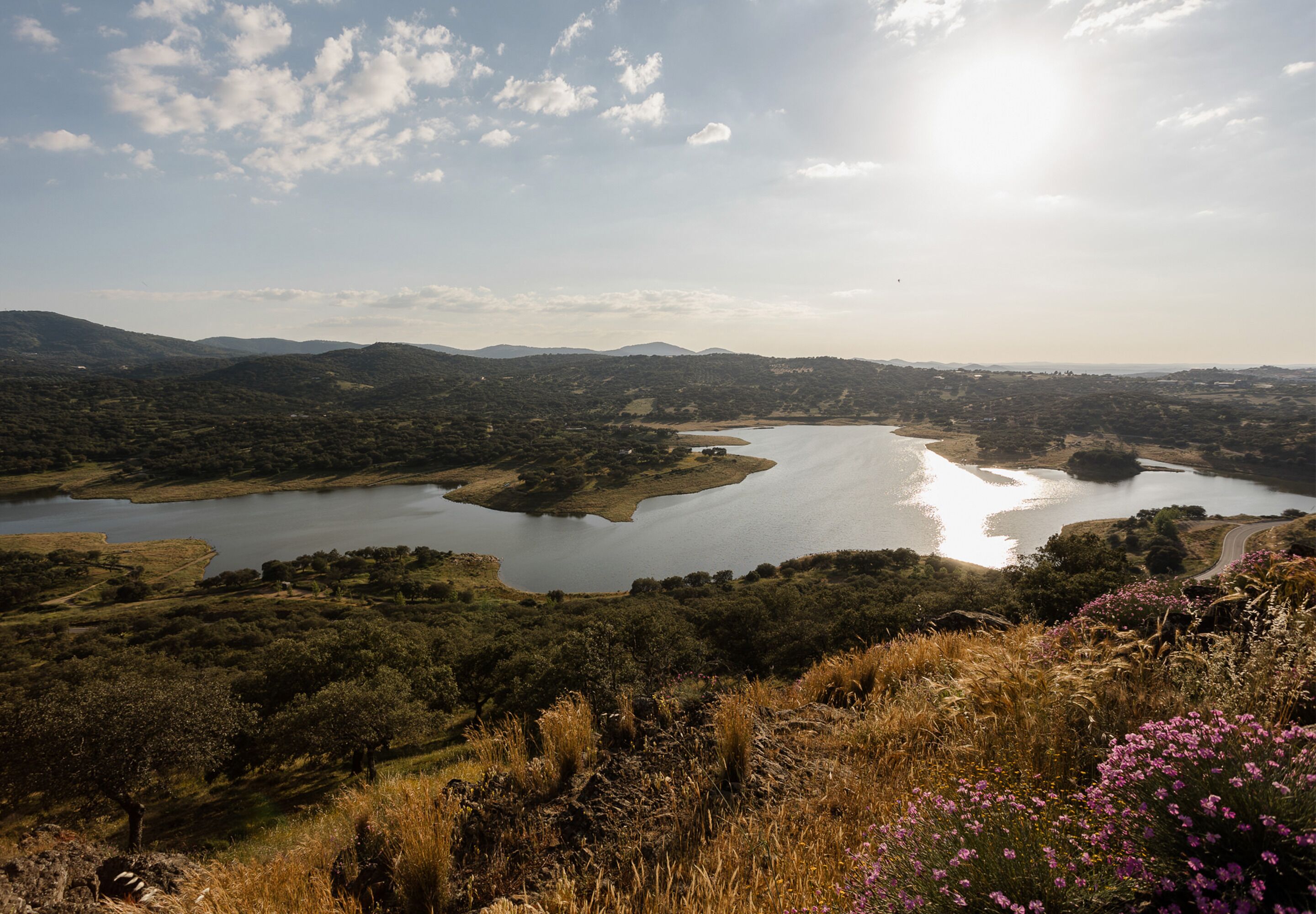 Vista panorámica de un lago rodeado de colinas y vegetación.