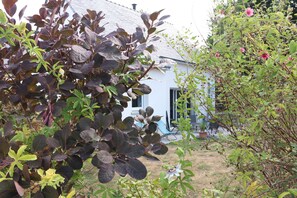 Stroll through the serene garden, surrounded by lush plants and a tranquil atmosphere.