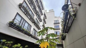 A narrow courtyard with a central tree, potted plants, and a visible gym sign. - R1/ Artistic loft in La Candelaria (Bogotá)