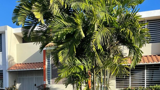 A modern building with a white facade, a red-tiled roof, and a well-maintained garden with various plants and a palm tree. - Punta Salinas Oasis (Toa Baja)