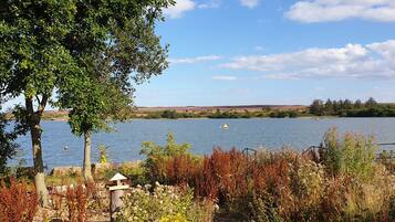 Cabin | Miscellaneous