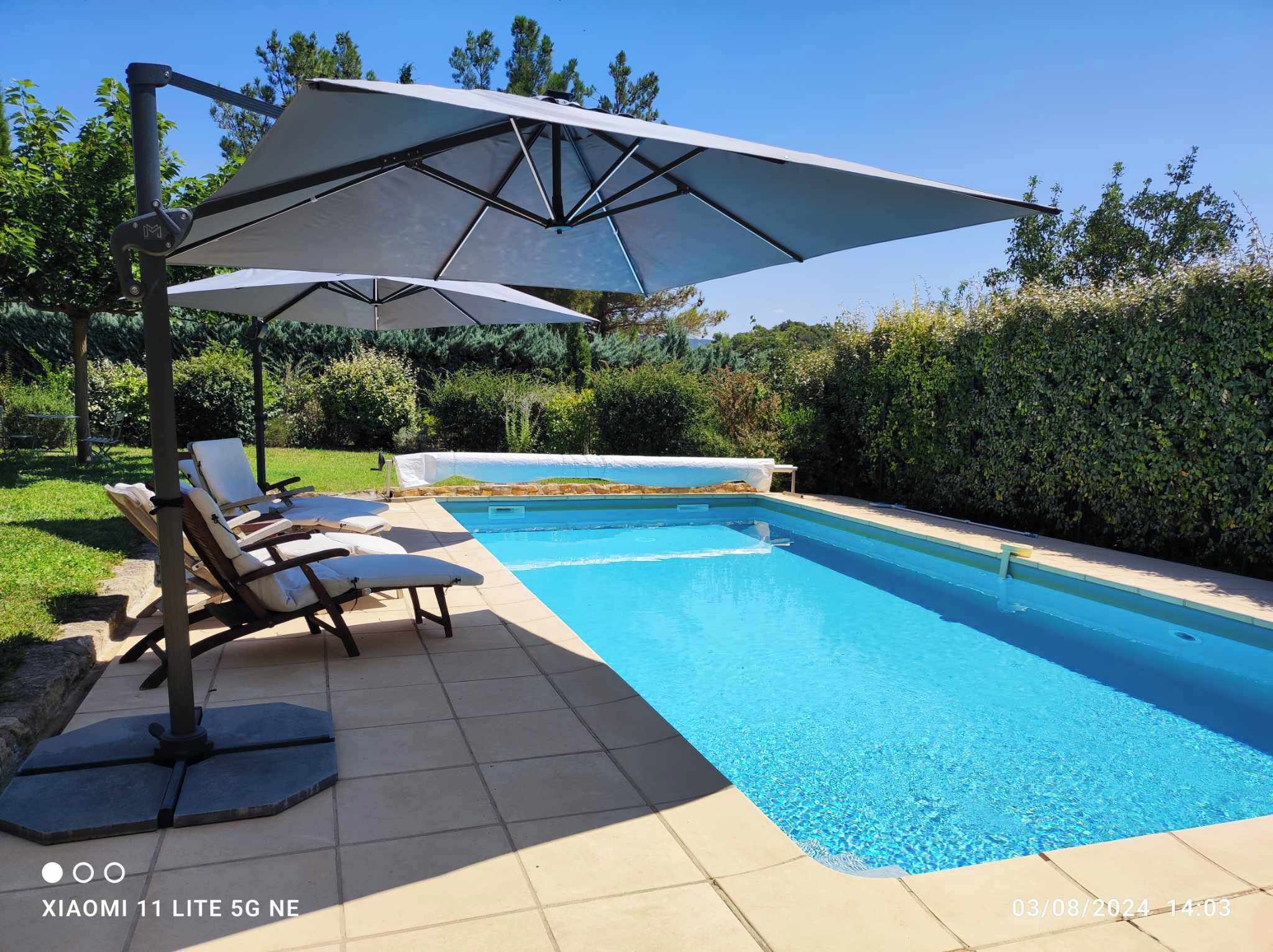 A swimming pool with lounge chairs and umbrellas, surrounded by greenery.