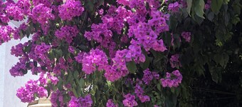 Charming new House on Islandfew Steps From the sea