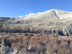 A mountainous landscape with snow-covered trees and a clear sky.