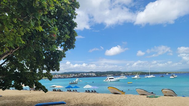 Una playa con barcos, sombrillas y un árbol.