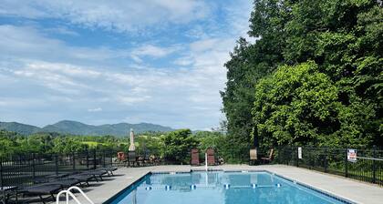 Modern & Comfy, winter is here, near Cade's Cove in Townsend, the peaceful side!