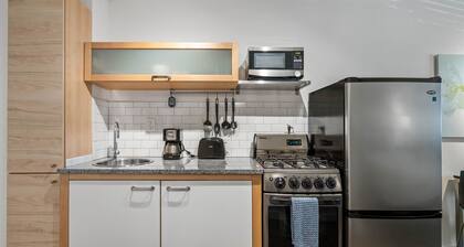 CPD Safe Clean Studio w Free Parking Near Shepherd Center