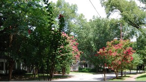 A residential street lined with trees and a house. - B1bg Quiet Condo Perfect for Travel Nurses (Atlanta)