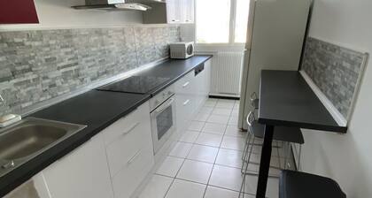 Grand Appartement Sortie Orléans Centre