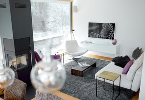 Télévision, cheminée, lecteur de DVD