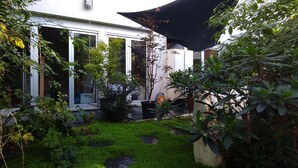 Ein Garten mit einem kleinen Teich, verschiedenen Pflanzen und einem weißen Gebäude mit großen Fenstern.