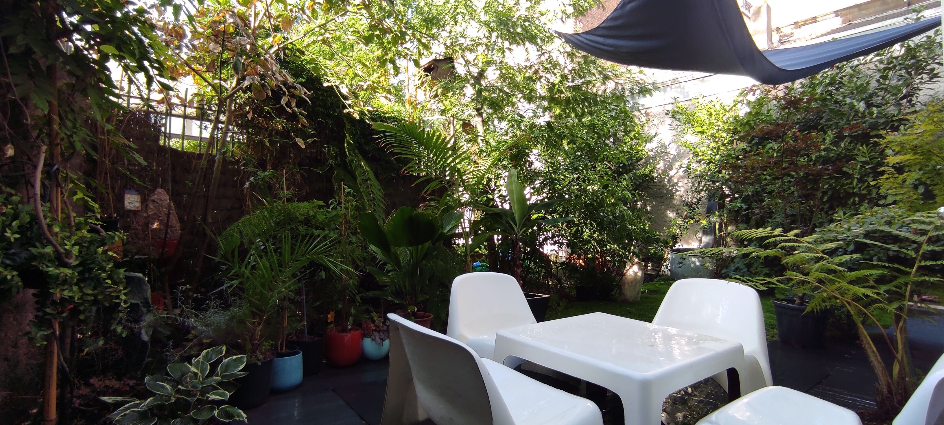 An outdoor patio with white plastic chairs and a table, surrounded by various potted plants and greenery.
