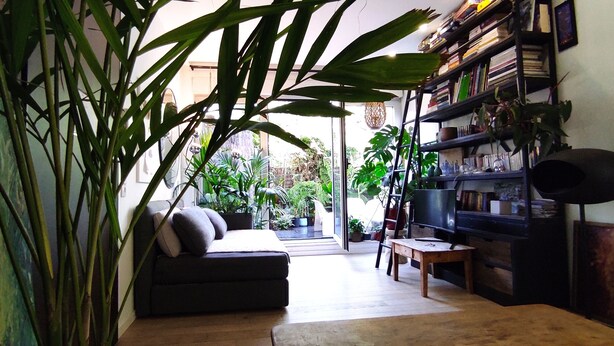 Ein gemütliches Wohnzimmer mit einem dunklen Sofa, einem Holztisch und einem Bücherregal voller Bücher und Pflanzen.
