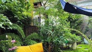 Ein gelbes Sofa im Freien in einem üppigen Garten mit verschiedenen Pflanzen und einem blauen Baldachin.