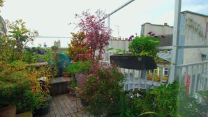 Ein Dachgarten mit verschiedenen Kübelpflanzen und einer Holzterrasse.
