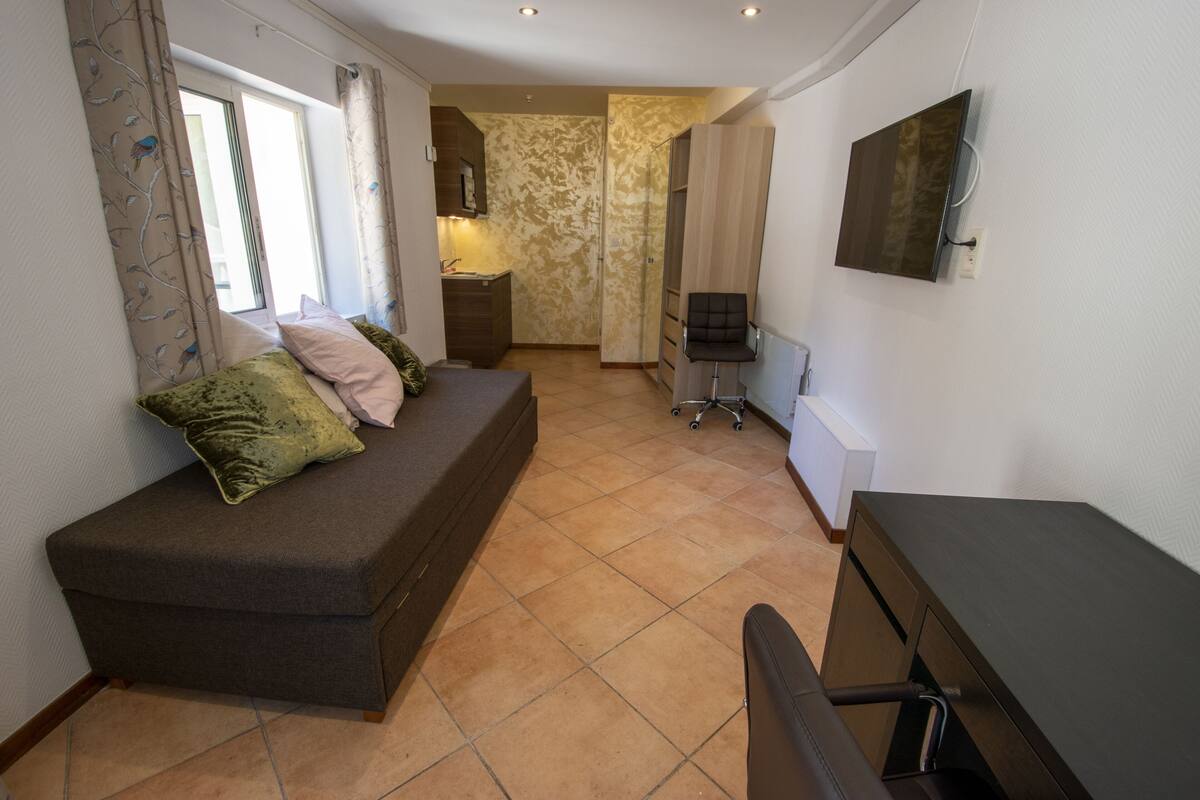 A compact living space with a sofa, a desk, and a TV mounted on the wall.