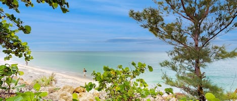 Playa en los alrededores