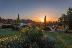 A sunset view with a hammock, a barbecue grill, and a vineyard in the background.