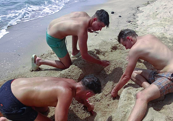 Beach nearby, free beach shuttle, 2 beach bars