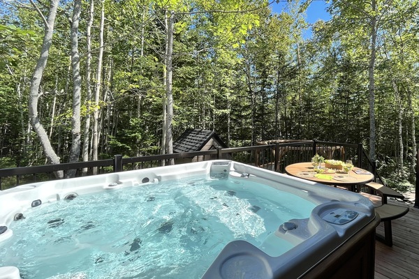 Baignoire à remous extérieure