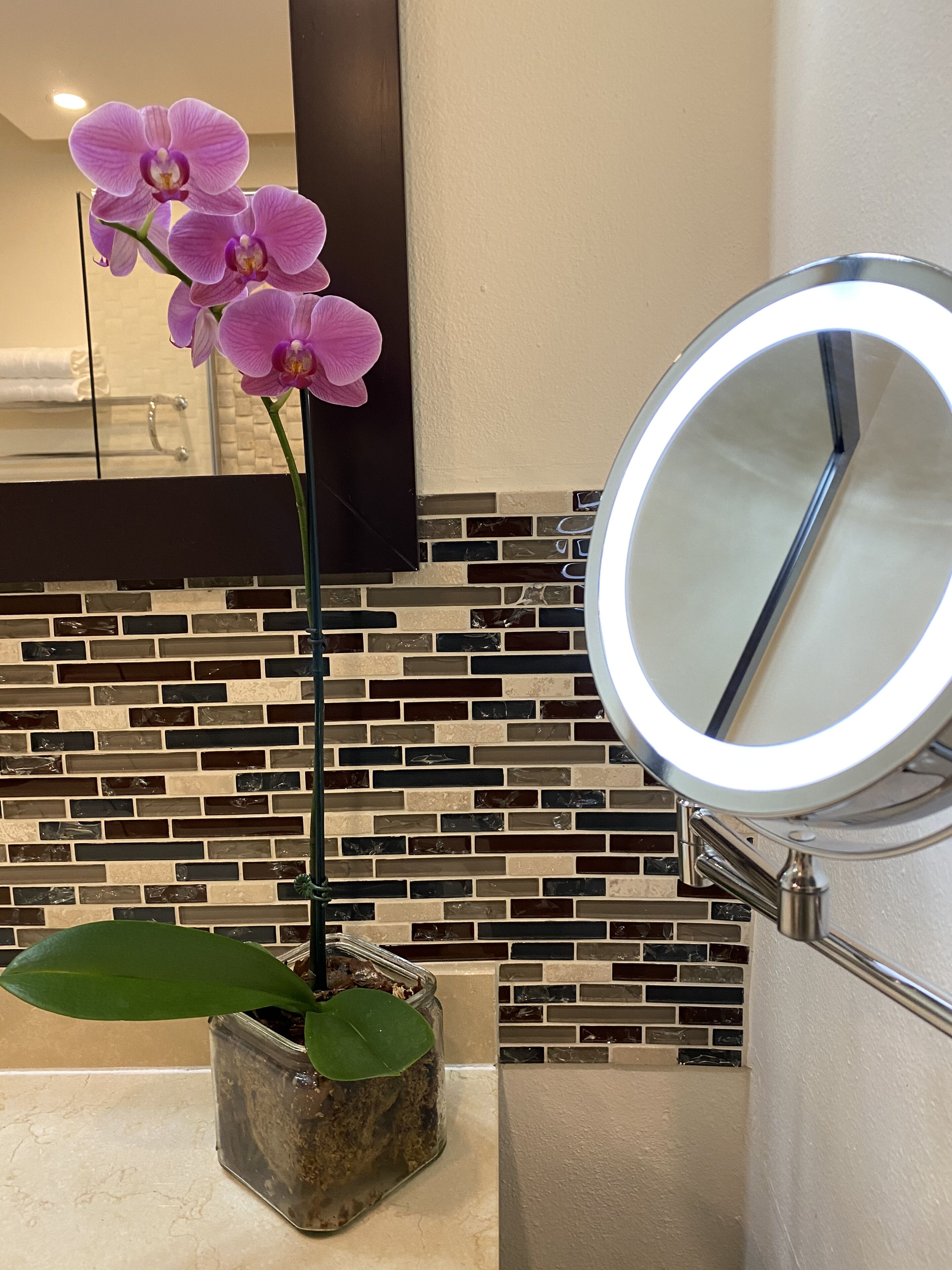 Um banheiro com painel de azulejos, uma orquídea em vaso e um espelho redondo.