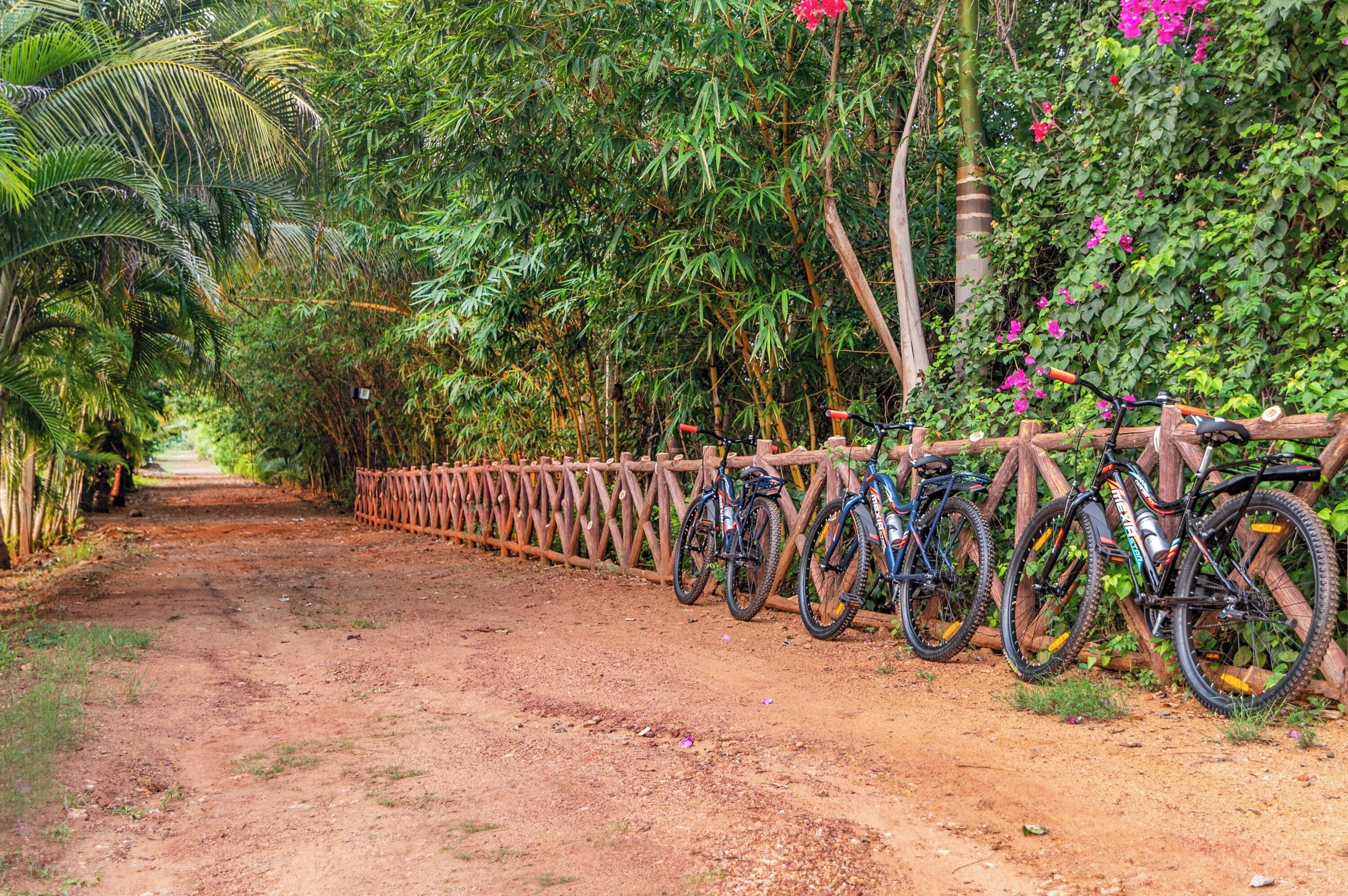 A dirt path lined with bicycles and a wooden fence.