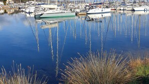 A marina with numerous sailboats docked, calm water, and some vegetation in the foreground.