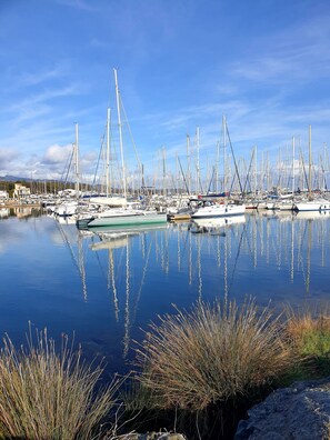 Enjoy serene waterfront views of sailboats docked in calm waters, surrounded by lush vegetation and a rocky shoreline.