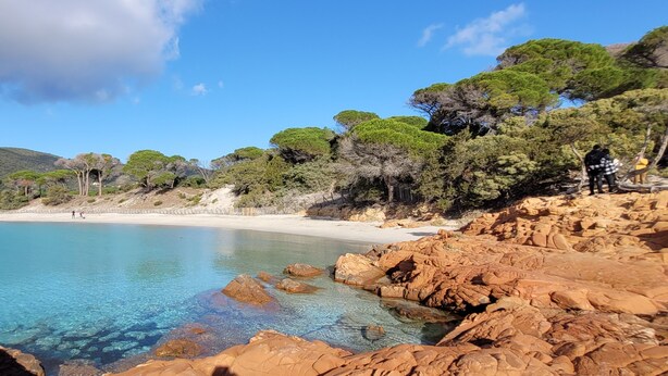 A coastal beach with clear blue water, rocky shoreline, and dense green trees.