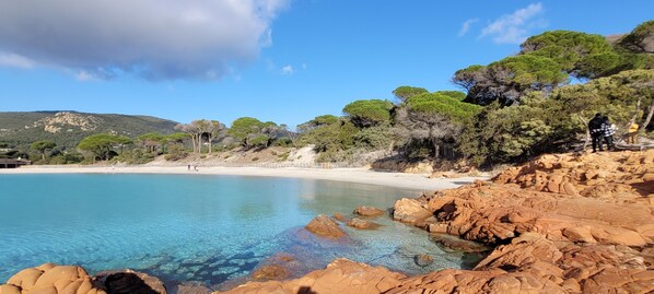 Plage, chaises longues