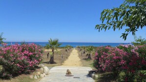 A stone pathway leading to a beach with pink flowering bushes on either side.