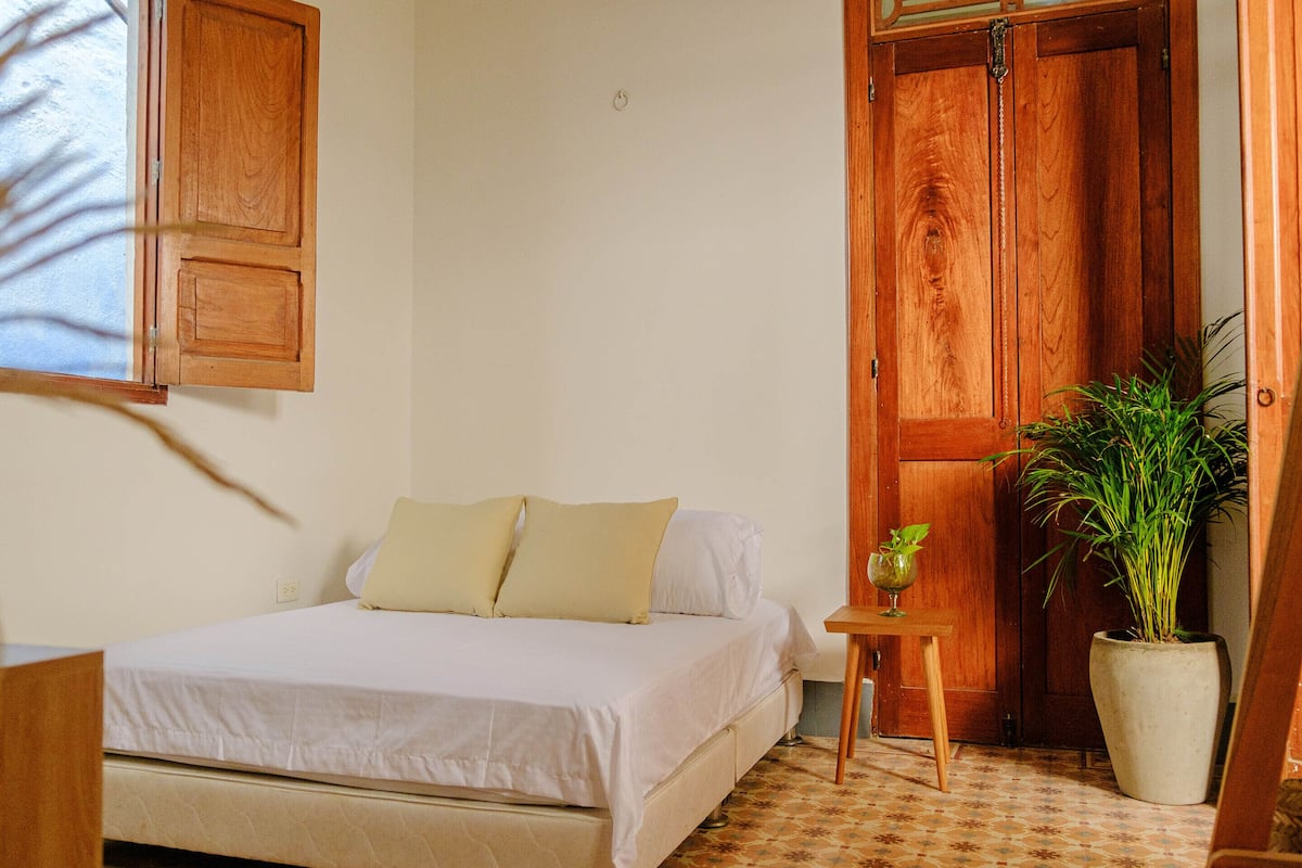 A bedroom with a bed, a wooden door, a small table with a plant, and a potted plant.