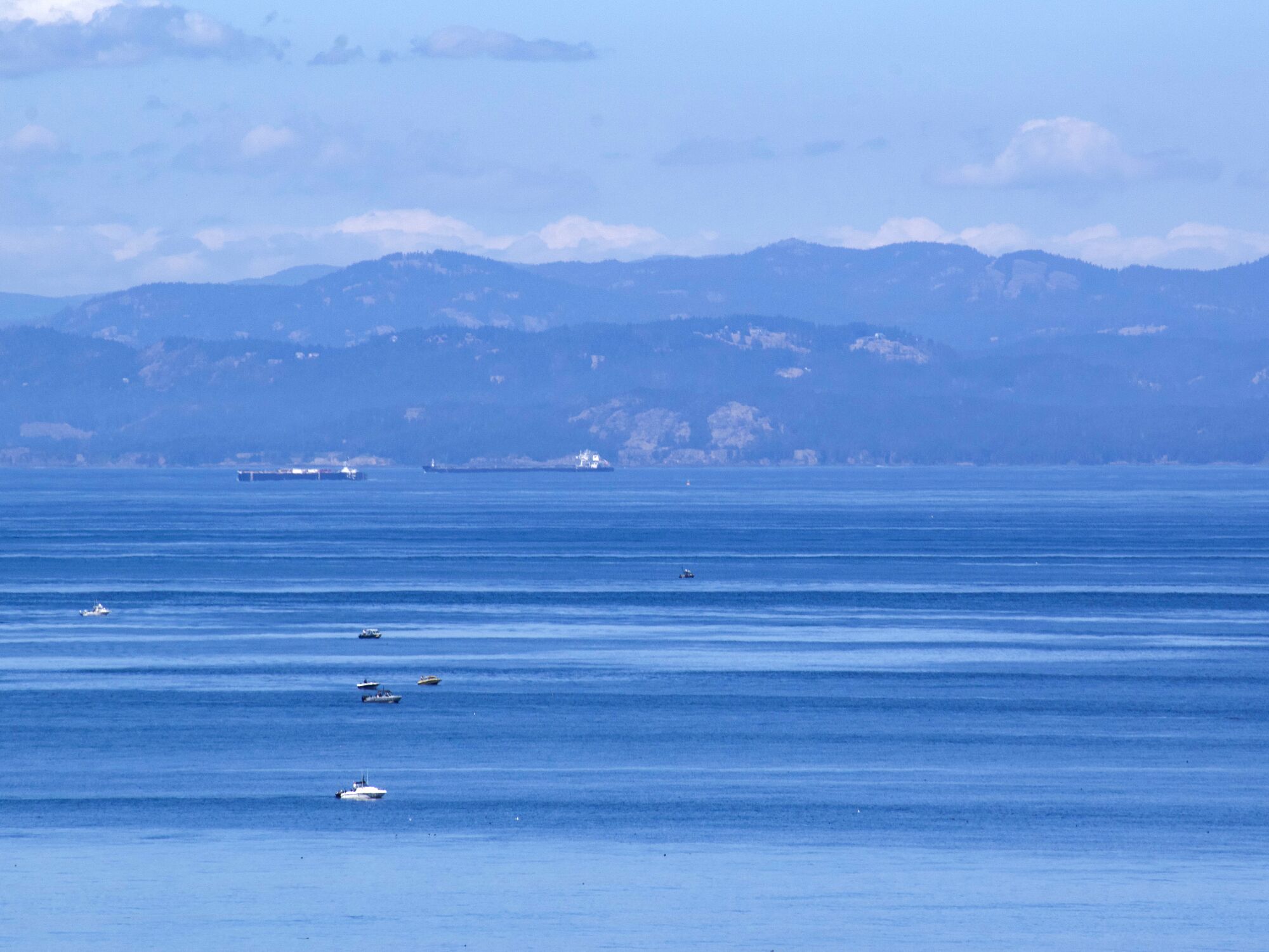 Mare calmo con diverse imbarcazioni e una nave all'orizzonte. Si vedono montagne sullo sfondo.