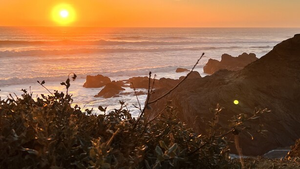 Ein Sonnenuntergang über dem Meer mit felsiger Küste und Vegetation im Vordergrund.
