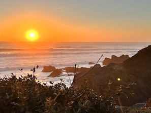 A sunset over the ocean with rocky coastline and vegetation in the foreground.