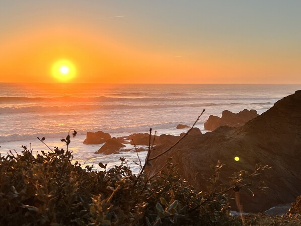 بالقرب من الشاطئ