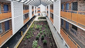 A multi-level building with a central courtyard featuring raised garden beds. - The Admiral Apartments (Jackson)