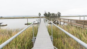 A wooden boardwalk leading to a dock with boats, surrounded by tall grass and trees. - Modern Cottage with Private Dock and large yard on Napa River (Napa)