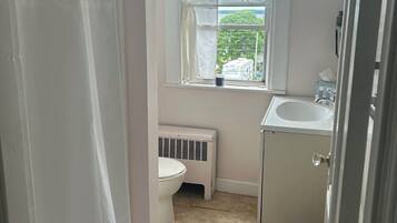 Shower, towels, soap, toilet paper