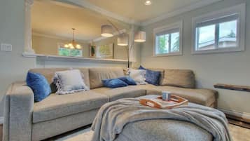 Smart TV, fireplace, books, music library