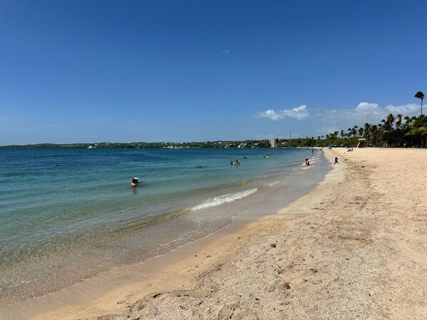 Una playa con aguas cristalinas, una orilla arenosa y palmeras a lo lejos.
