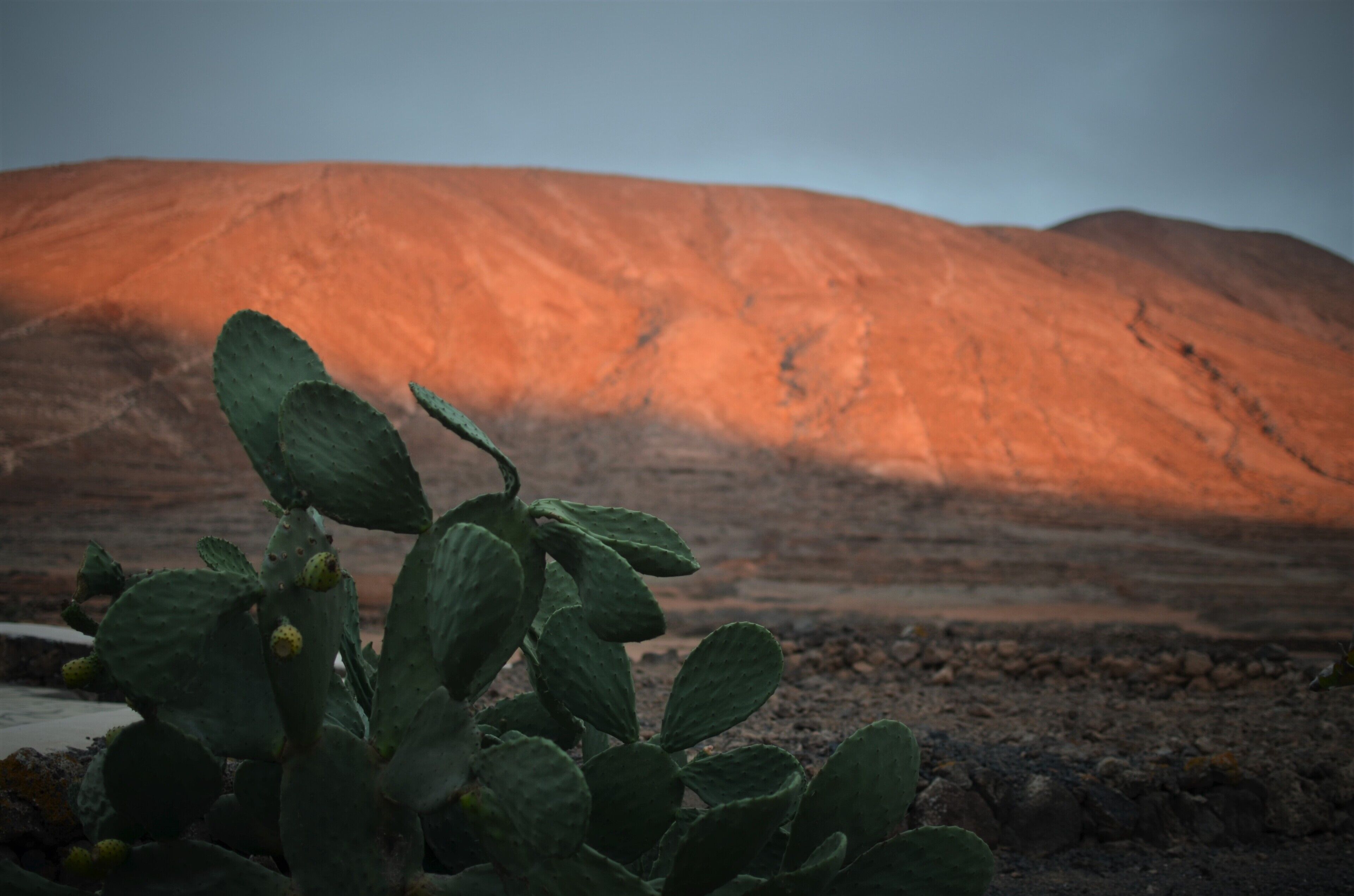 Foto - Hotel Rural El Cabo