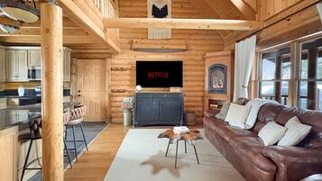 Smart TV, fireplace, books