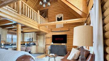 Smart TV, fireplace, books