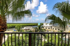 Property grounds - Welcome to La Gampierre at Cape Harbour Your tropical paradise (Cape Coral)