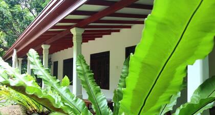 Dream Weaver Eco Homestay Sigiriya